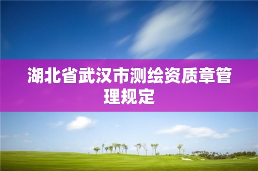 湖北省武漢市測繪資質(zhì)章管理規(guī)定