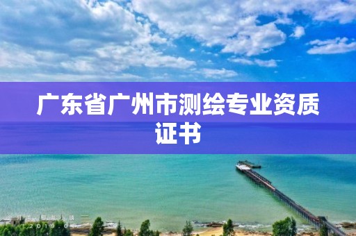 廣東省廣州市測繪專業資質證書