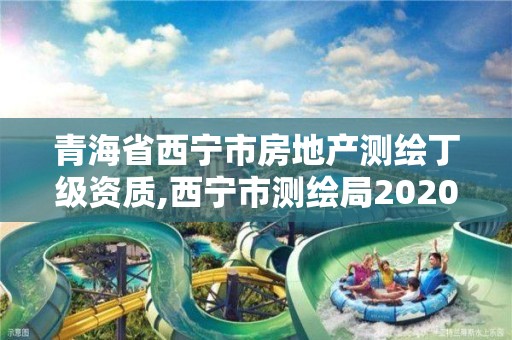 青海省西寧市房地產(chǎn)測繪丁級資質(zhì),西寧市測繪局2020招聘。