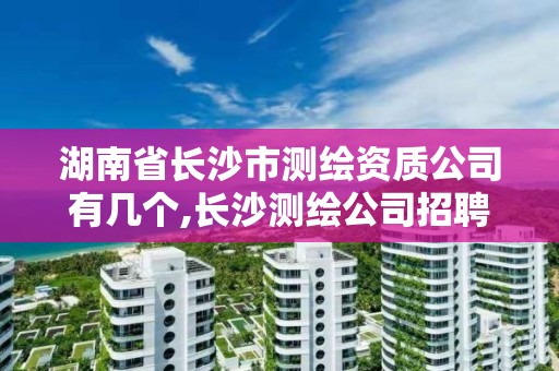 湖南省長沙市測繪資質公司有幾個,長沙測繪公司招聘。