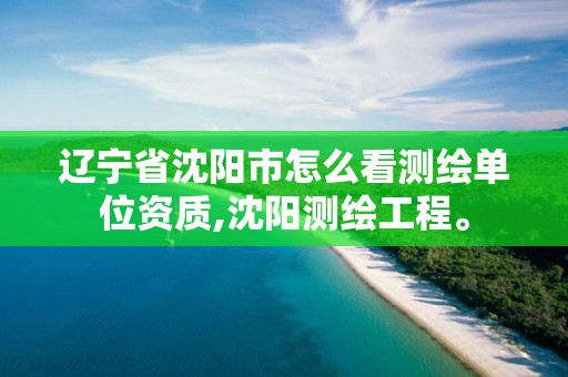 遼寧省沈陽市怎么看測繪單位資質,沈陽測繪工程。