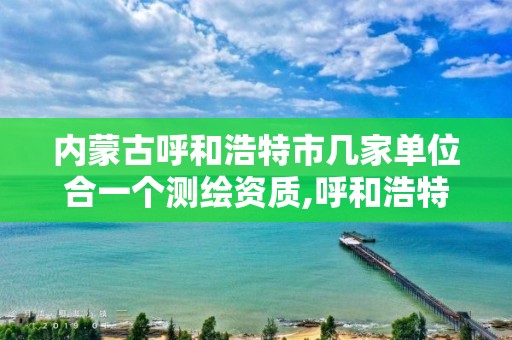 內蒙古呼和浩特市幾家單位合一個測繪資質,呼和浩特市工程測量招聘信息。