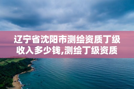 遼寧省沈陽市測(cè)繪資質(zhì)丁級(jí)收入多少錢,測(cè)繪丁級(jí)資質(zhì)條件。