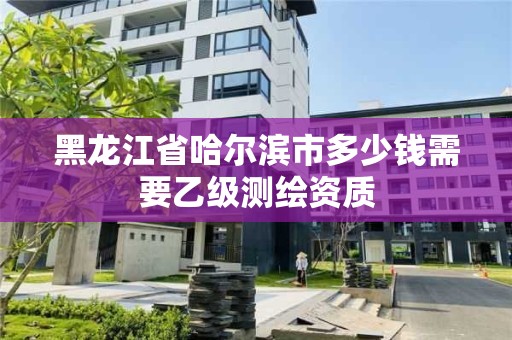 黑龍江省哈爾濱市多少錢需要乙級(jí)測(cè)繪資質(zhì)