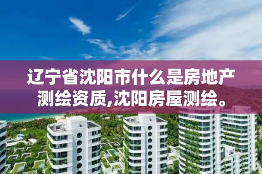 遼寧省沈陽市什么是房地產測繪資質,沈陽房屋測繪。