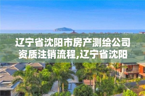 遼寧省沈陽市房產測繪公司資質注銷流程,遼寧省沈陽市房產測繪公司資質注銷流程圖。