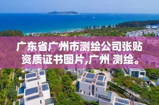 廣東省廣州市測(cè)繪公司張貼資質(zhì)證書圖片,廣州 測(cè)繪。