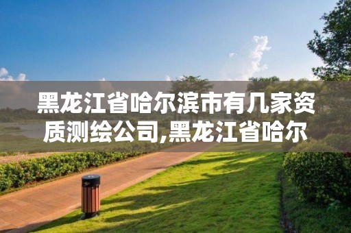 黑龍江省哈爾濱市有幾家資質(zhì)測(cè)繪公司,黑龍江省哈爾濱市有幾家資質(zhì)測(cè)繪公司啊。