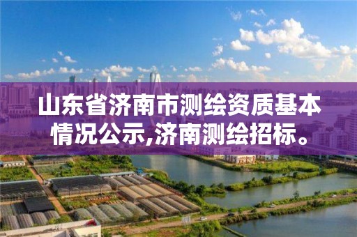 山東省濟南市測繪資質基本情況公示,濟南測繪招標。