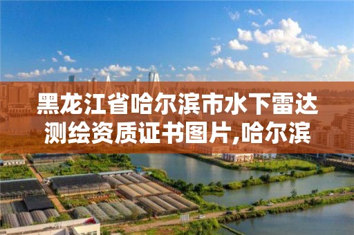 黑龍江省哈爾濱市水下雷達測繪資質證書圖片,哈爾濱雷達進水了怎么辦。