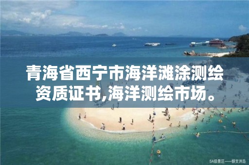 青海省西寧市海洋灘涂測繪資質證書,海洋測繪市場。