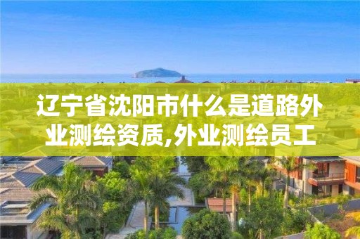 遼寧省沈陽(yáng)市什么是道路外業(yè)測(cè)繪資質(zhì),外業(yè)測(cè)繪員工資怎么樣。