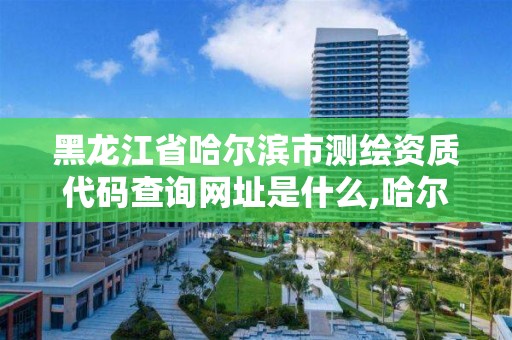 黑龍江省哈爾濱市測繪資質代碼查詢網址是什么,哈爾濱測繪公司有哪些。