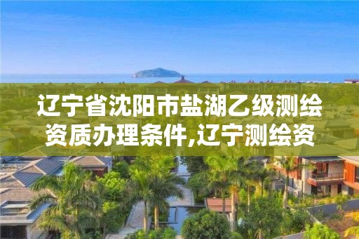 遼寧省沈陽市鹽湖乙級測繪資質辦理條件,遼寧測繪資質單位。