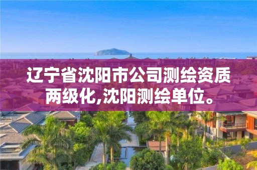 遼寧省沈陽市公司測繪資質兩級化,沈陽測繪單位。