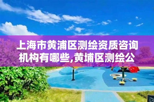 上海市黃浦區測繪資質咨詢機構有哪些,黃埔區測繪公司。