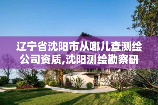 遼寧省沈陽市從哪兒查測繪公司資質,沈陽測繪勘察研究院有限公司。