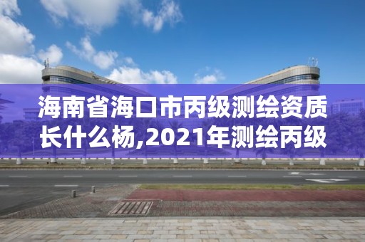 海南省海口市丙級測繪資質長什么楊,2021年測繪丙級資質申報條件。