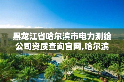 黑龍江省哈爾濱市電力測(cè)繪公司資質(zhì)查詢官網(wǎng),哈爾濱電力檢測(cè)。