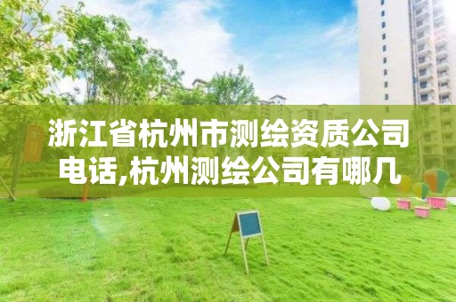 浙江省杭州市測繪資質公司電話,杭州測繪公司有哪幾家。