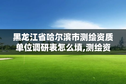 黑龍江省哈爾濱市測繪資質(zhì)單位調(diào)研表怎么填,測繪資質(zhì)自查情況表如何填寫。