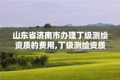 山東省濟南市辦理丁級測繪資質的費用,丁級測繪資質要求。