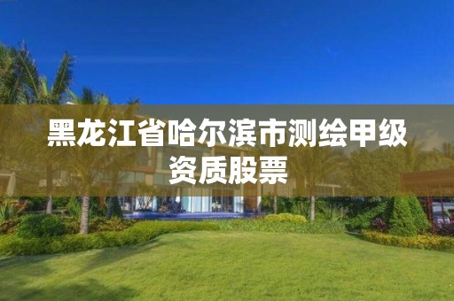 黑龍江省哈爾濱市測繪甲級資質股票