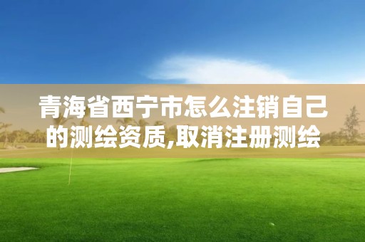 青海省西寧市怎么注銷自己的測繪資質,取消注冊測繪。