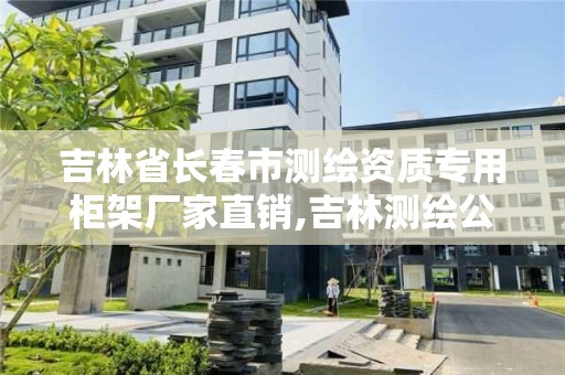 吉林省長春市測繪資質專用柜架廠家直銷,吉林測繪公司。