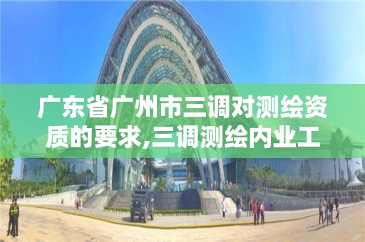 廣東省廣州市三調(diào)對(duì)測(cè)繪資質(zhì)的要求,三調(diào)測(cè)繪內(nèi)業(yè)工作內(nèi)容。