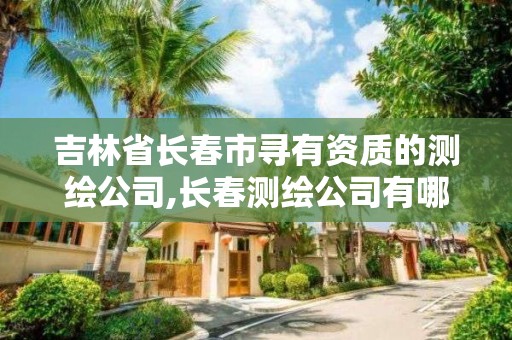 吉林省長春市尋有資質的測繪公司,長春測繪公司有哪些。