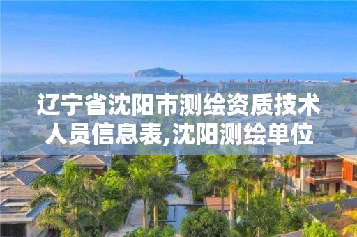 遼寧省沈陽市測繪資質技術人員信息表,沈陽測繪單位排名。