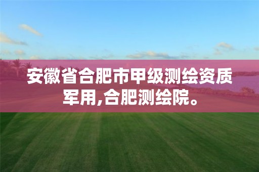 安徽省合肥市甲級測繪資質軍用,合肥測繪院。