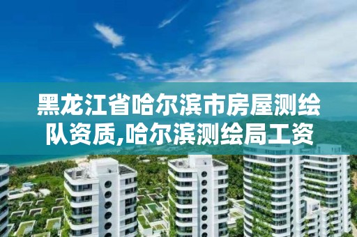 黑龍江省哈爾濱市房屋測繪隊資質,哈爾濱測繪局工資怎么樣。