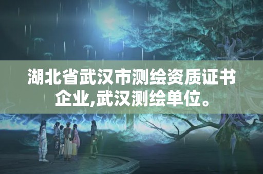 湖北省武漢市測繪資質證書企業,武漢測繪單位。