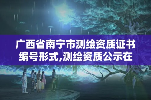 廣西省南寧市測繪資質證書編號形式,測繪資質公示在哪里查詢。