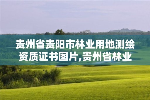 貴州省貴陽(yáng)市林業(yè)用地測(cè)繪資質(zhì)證書(shū)圖片,貴州省林業(yè)勘察設(shè)計(jì)院地址。