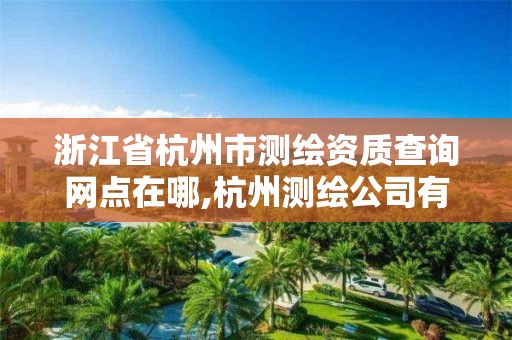 浙江省杭州市測繪資質查詢網點在哪,杭州測繪公司有哪幾家。