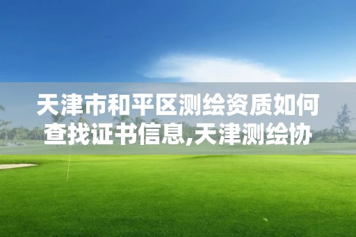 天津市和平區測繪資質如何查找證書信息,天津測繪協會。