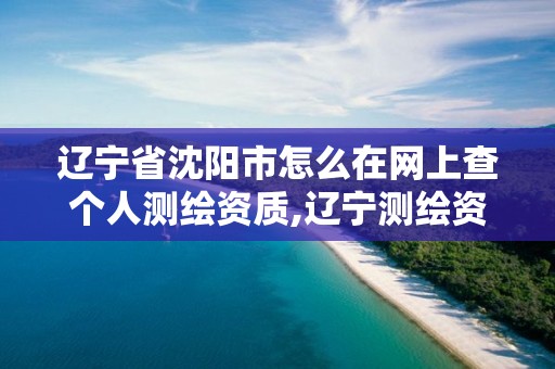 遼寧省沈陽(yáng)市怎么在網(wǎng)上查個(gè)人測(cè)繪資質(zhì),遼寧測(cè)繪資質(zhì)單位。