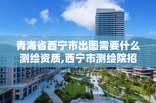 青海省西寧市出圖需要什么測繪資質,西寧市測繪院招聘公示。