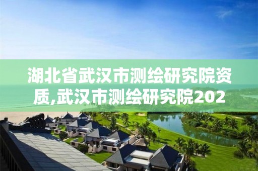 湖北省武漢市測繪研究院資質(zhì),武漢市測繪研究院2021校招。