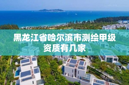 黑龍江省哈爾濱市測繪甲級資質有幾家