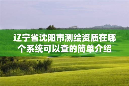 遼寧省沈陽市測繪資質在哪個系統可以查的簡單介紹