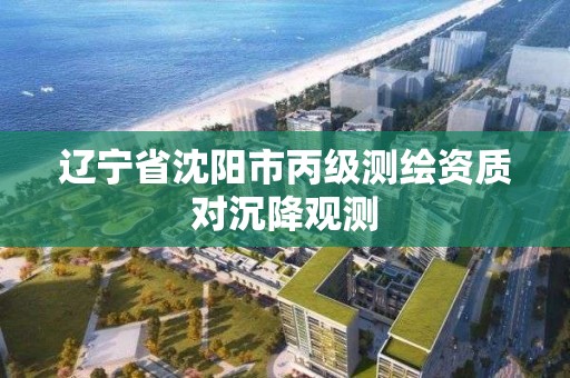 遼寧省沈陽市丙級測繪資質對沉降觀測