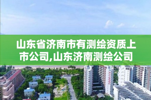 山東省濟南市有測繪資質上市公司,山東濟南測繪公司有哪些。