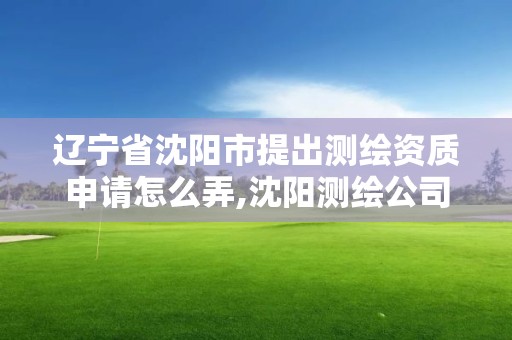 遼寧省沈陽市提出測繪資質申請怎么弄,沈陽測繪公司哪家強哪家好。