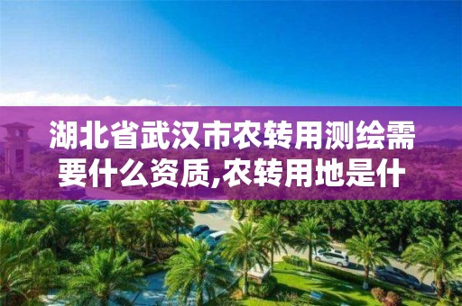 湖北省武漢市農轉用測繪需要什么資質,農轉用地是什么意思。