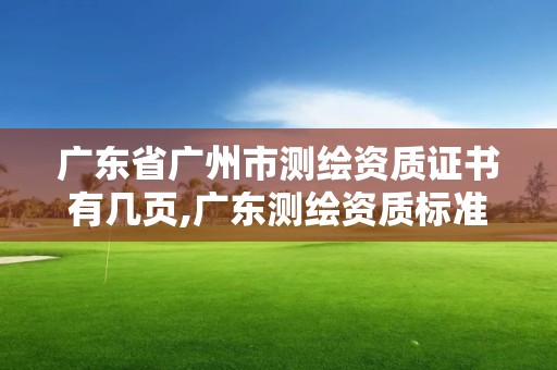 廣東省廣州市測繪資質證書有幾頁,廣東測繪資質標準。