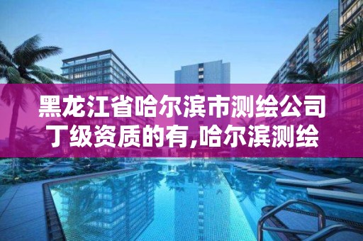 黑龍江省哈爾濱市測繪公司丁級資質的有,哈爾濱測繪地理信息局招聘公告。